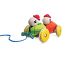 Pull Along Turtles