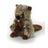Woodland Beaver