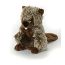 Woodland Beaver