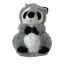 Woodland Raccoon