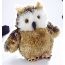 Woodland Owl