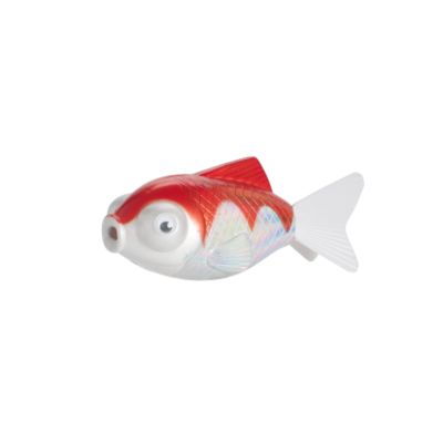 Swimming Fish Swimming Fish