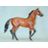 Red Rum Horse