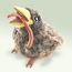 Baby Bird With Worm Puppet