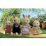 Buttermilk Rabbit Family