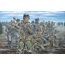 German Infantry WW2 Model Soldiers