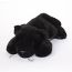 Lying Panther 13 Inch