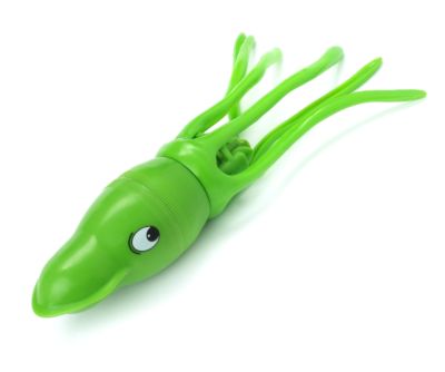 Squiddy Squiddy