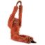 Hanging Orangutan
