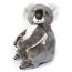 Koala Bear 15 Inch