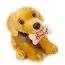 Labrador Dog 60cm