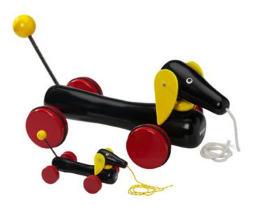 Large Dachshund