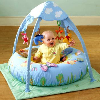 100 Acre Wood Playgym