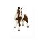 My Real Pony S'mores