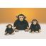 Junior Chimpanzee Large