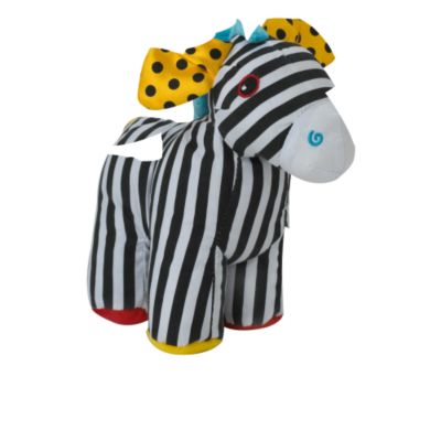 Black and White Zebra