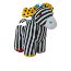 Black and White Zebra