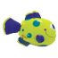 Splash and Swim Rainbow Fish