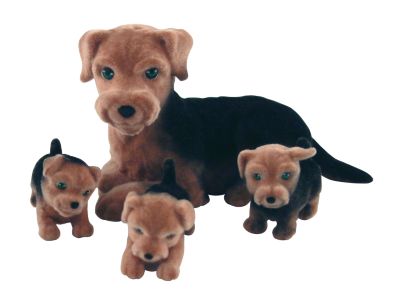 Family Collectable Pack