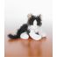Black and White Cat