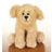 Lil Kinz Golden Retriever