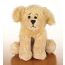 Lil Kinz Golden Retriever