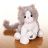 Lil Kinz Grey Cat