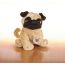 Lil Kinz Pug
