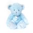 Sparkle Bear