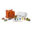 Volcano Making Kit
