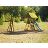 Sandy Ridge Multiplay Set