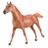 Theodore O'Connor Horse