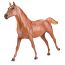 Theodore O'Connor Horse