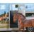 Pick Up Truck and Gooseneck Trailer