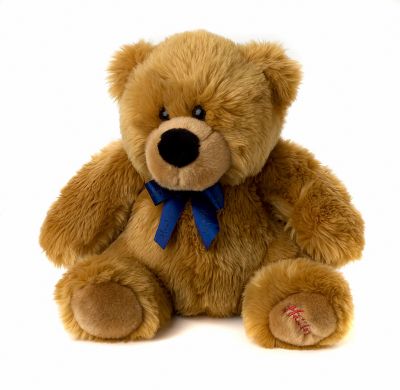 Ginger' Nut Teddy Bear - 11 Inch