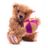 Exclusive James Teddy Bear