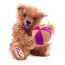 Exclusive James Teddy Bear