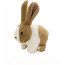 Rockin' Rabbit