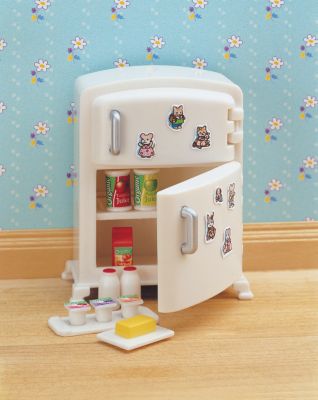 Fridge and Accessories