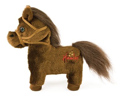 Playful Pony