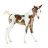 Takoda Horse - Paint Foal