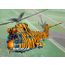 RAF Puma Tigermeet