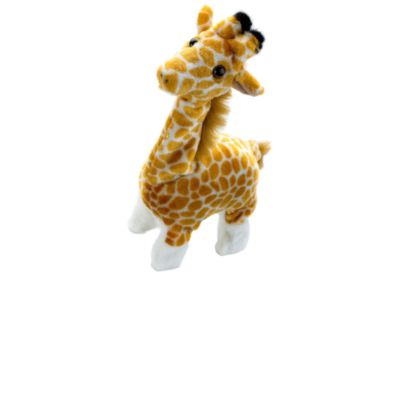 Nodding Giraffe
