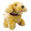 Labrador Puppy