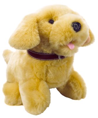 Labrador Puppy