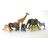 Jungle Animal Boxed Set