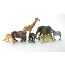 Jungle Animal Boxed Set